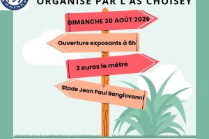 Puces - Vide grenier de l'AS Choisey